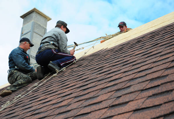 Best Roof Gutter Cleaning  in Bagdad, FL